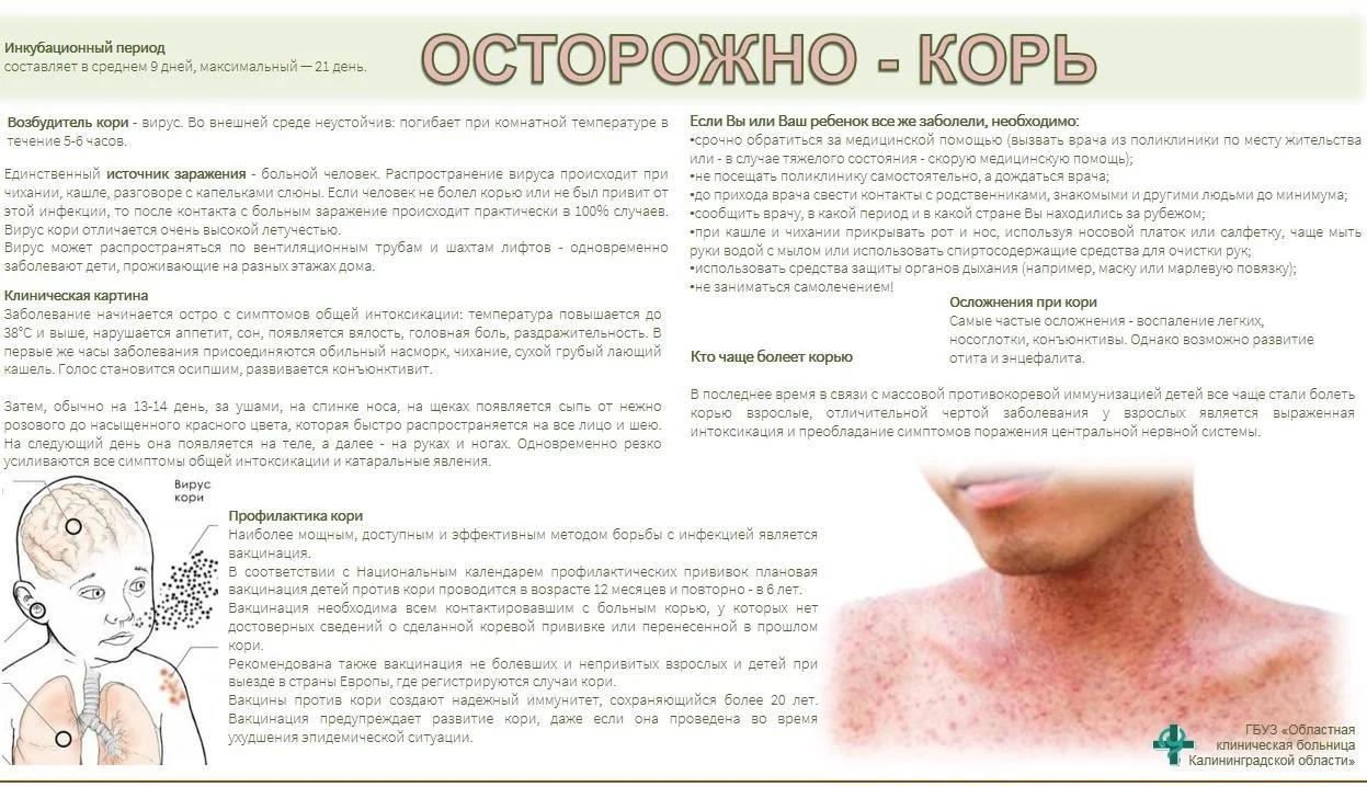 Осторожно - Корь