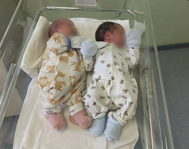 В 2026 году в Калининградской области появились пять пар двоен, три из них - королевские В 2026 году в Калининградской области появились пять пар двоен, три из них - королевские