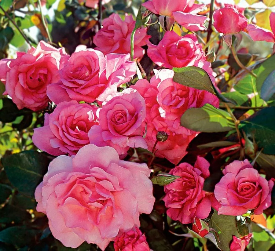 Министр здравоохранения региона Александр Кравченко поздравил коллег с Международным днем медицинской сестры