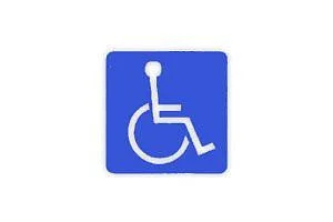 Правительство области выделяет гранты на поддержку проектов по реабилитации людей с проблемами здоровья 