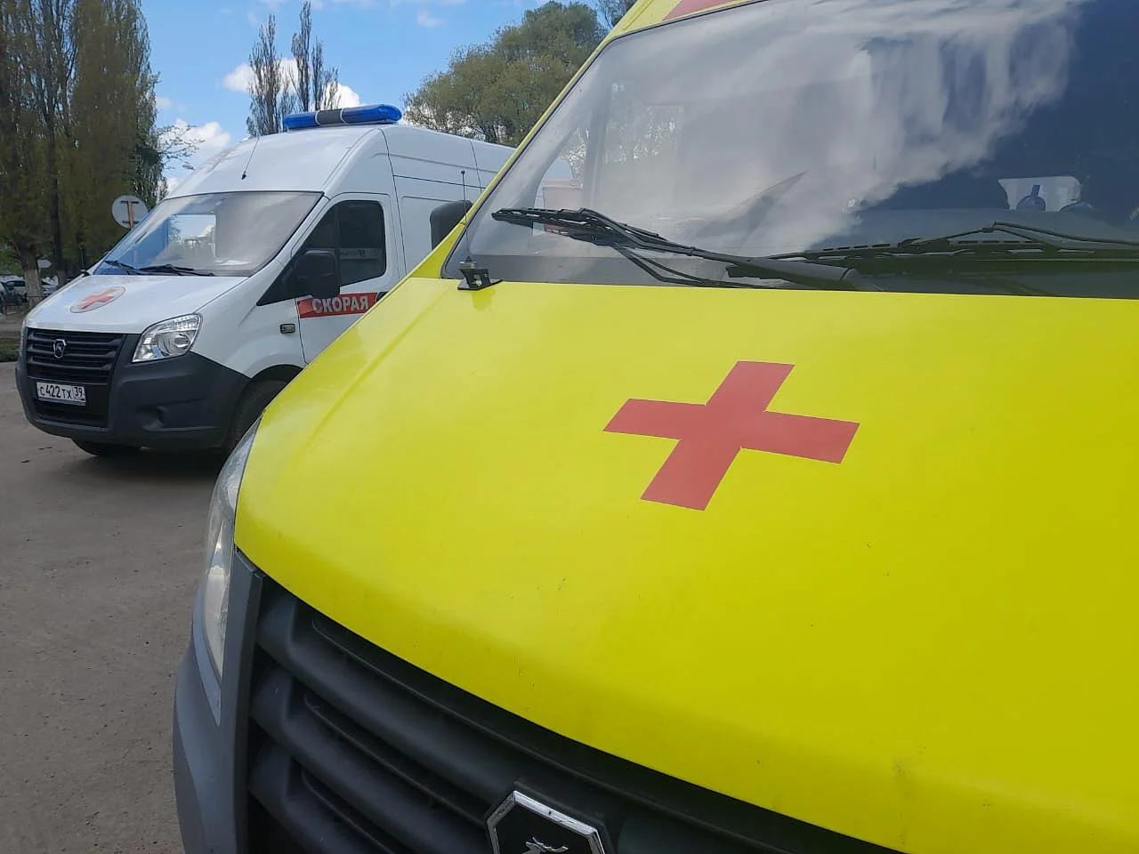 У жителей региона обнаружили сальмонеллез У жителей региона обнаружили сальмонеллез