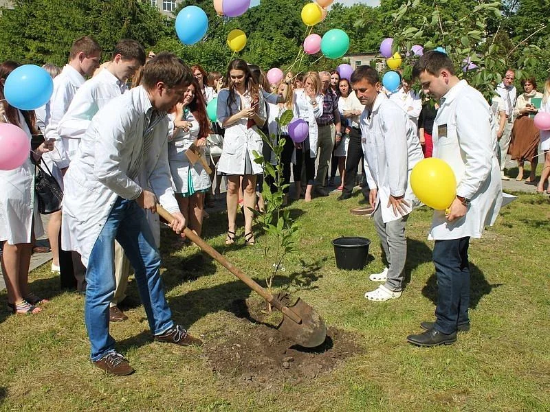 В честь последнего звонка студенты мединститута БФУ им. И. Канта посадили магнолию