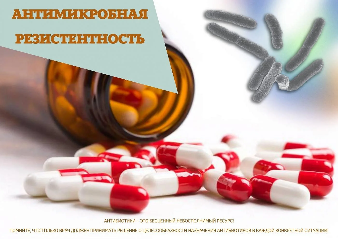 РЕЗИСТЕНТНОСТЬ (УСТОЙЧИВОСТЬ) К АНТИБИОТИКАМ