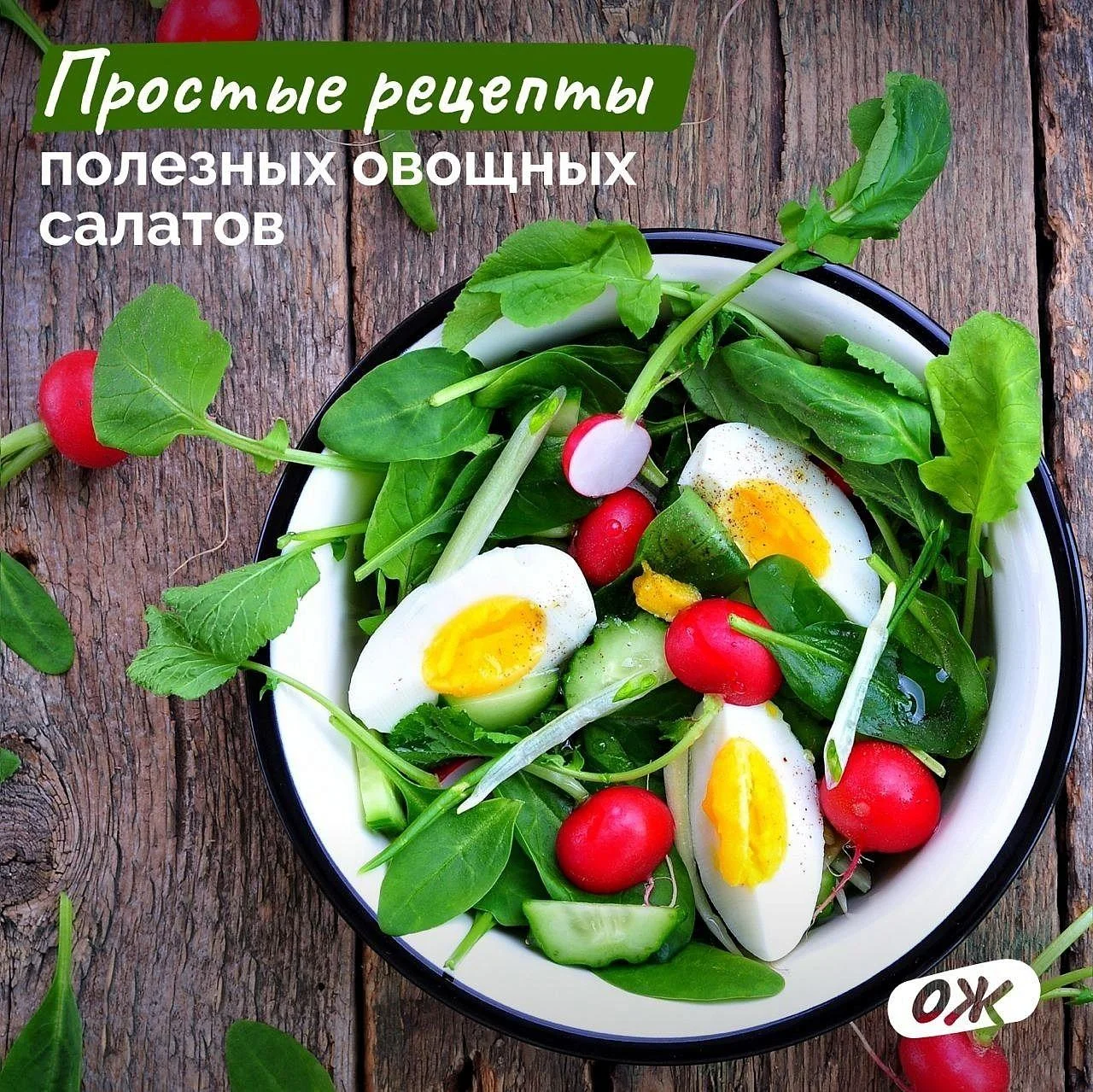 Что может быть вкуснее огурца прямо с грядки?