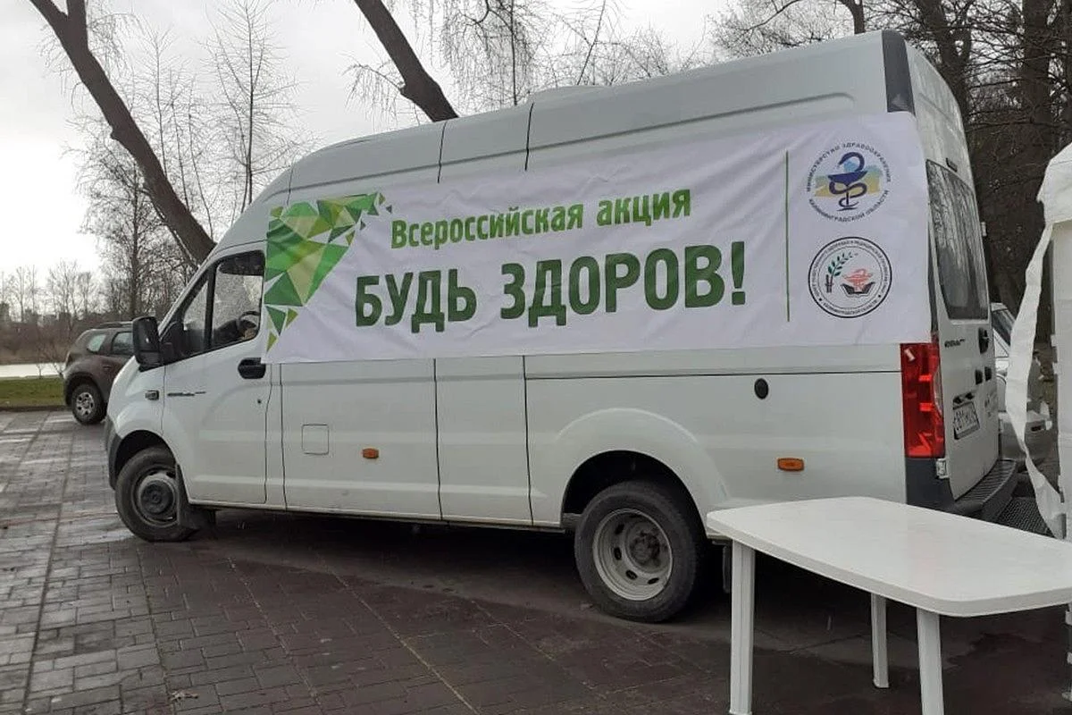 Акция «10 000 шагов к жизни» собрала больше пятисот участников