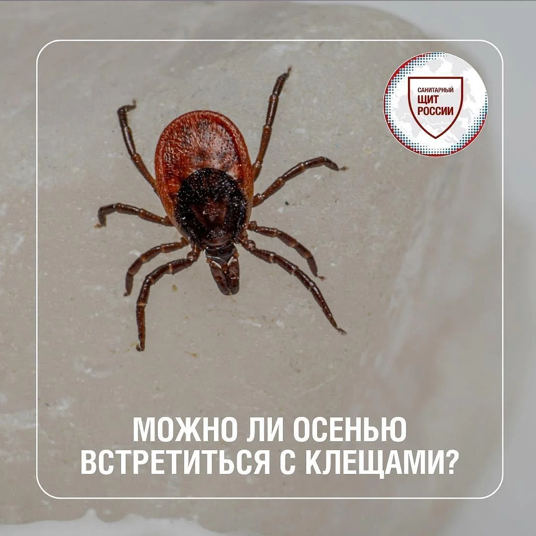 Осень – не время расслабляться!