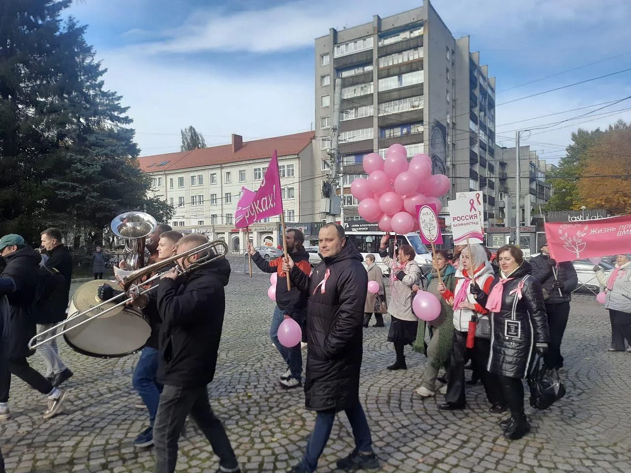 В Калининграде прошел ставший уже традиционным Марш против рака  В Калининграде прошел ставший уже традиционным Марш против рака