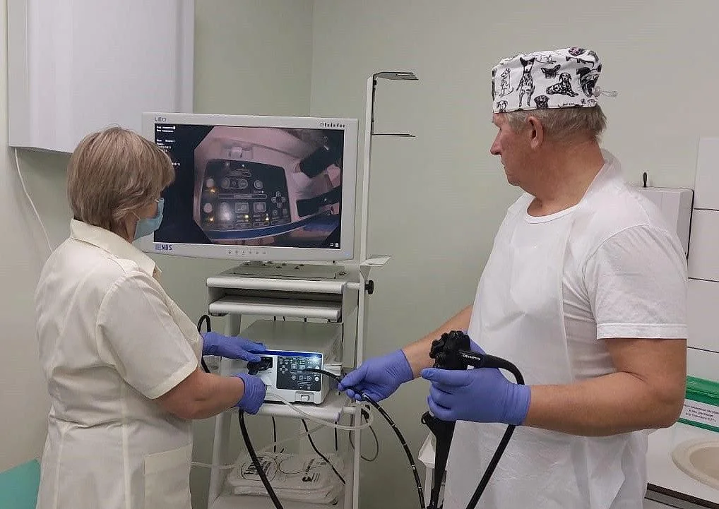 За четыре месяца на новом эндоскопе в поликлинике Пионерского проведено около четырехсот исследований За четыре месяца на новом эндоскопе в поликлинике Пионерского проведено около четырехсот исследований