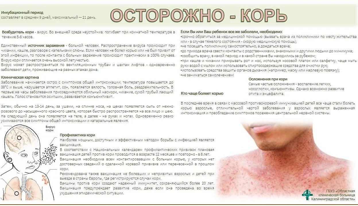 Осторожно - Корь