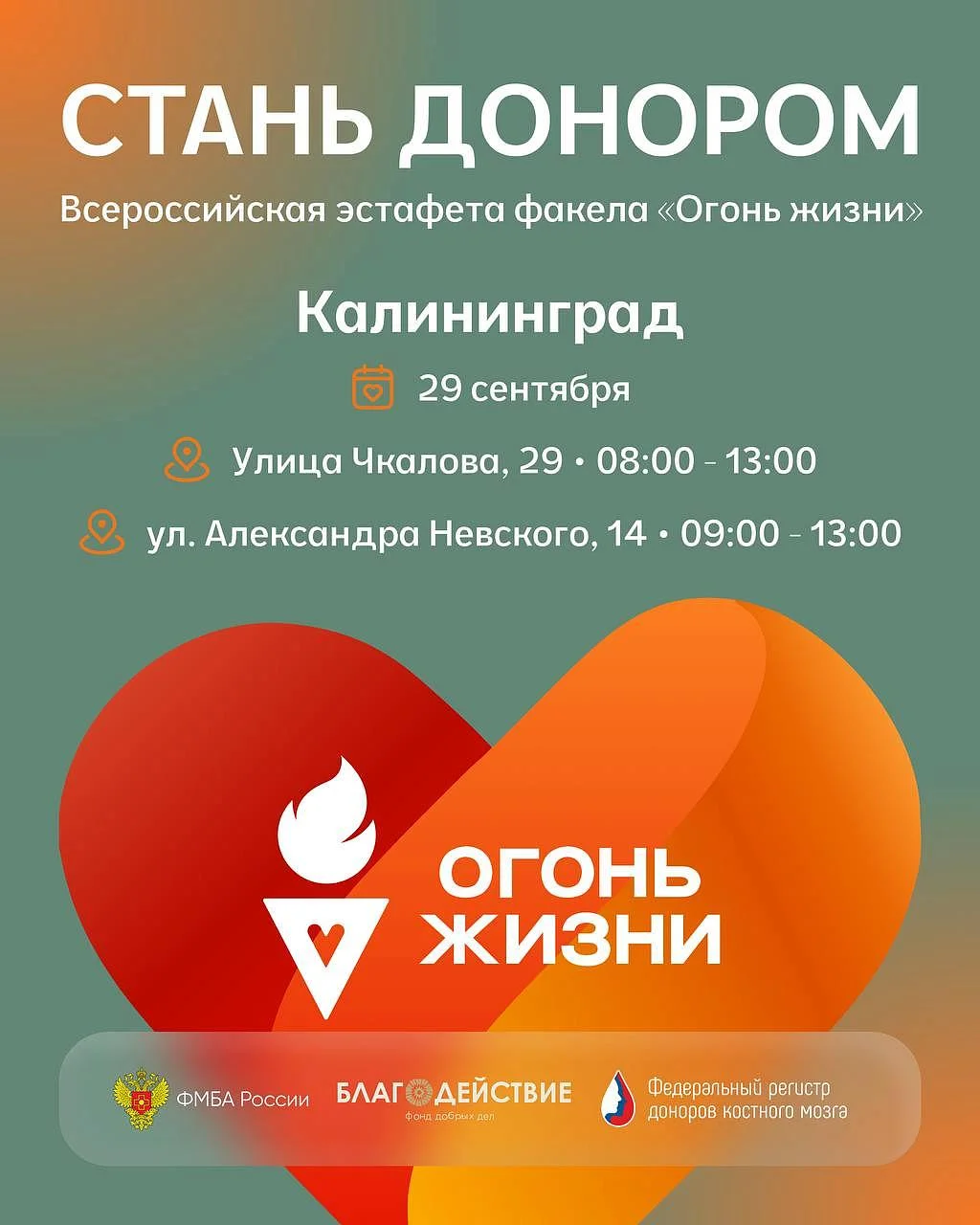 Всероссийская эстафета факела «Огонь жизни» пройдет в Калининграде