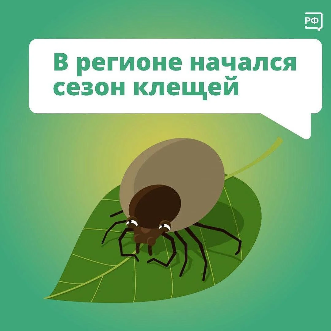 В регионе уже начался сезон клещей