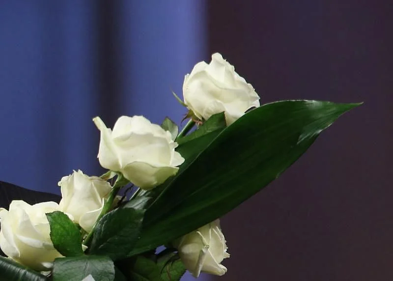 Добрые слова врачам