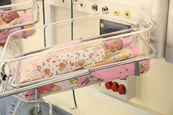 В регионе растет количество семей с тремя детьми В регионе растет количество семей с тремя детьми