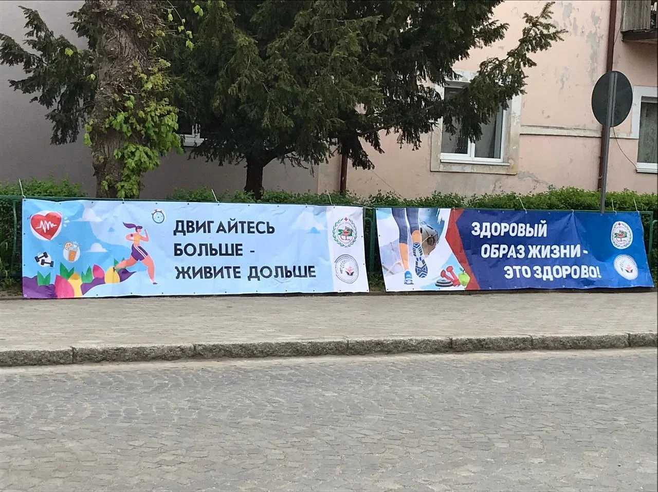 В Светлогорске пройдет «Фестиваль здорового образа жизни» В Светлогорске пройдет «Фестиваль здорового образа жизни»