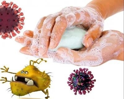 Чаще мойте руки: бактерии размножаются с огромной скоростью.