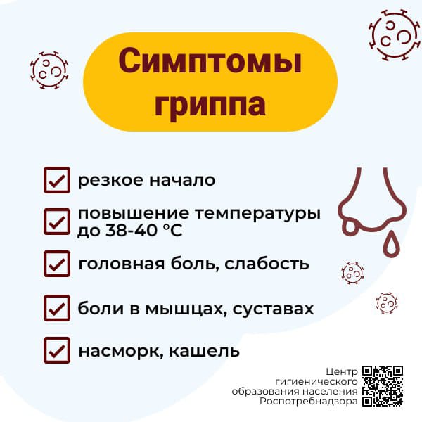 Изображение WhatsApp 2023-08-29 в 16.38.22.jpgыеыкр.jpg