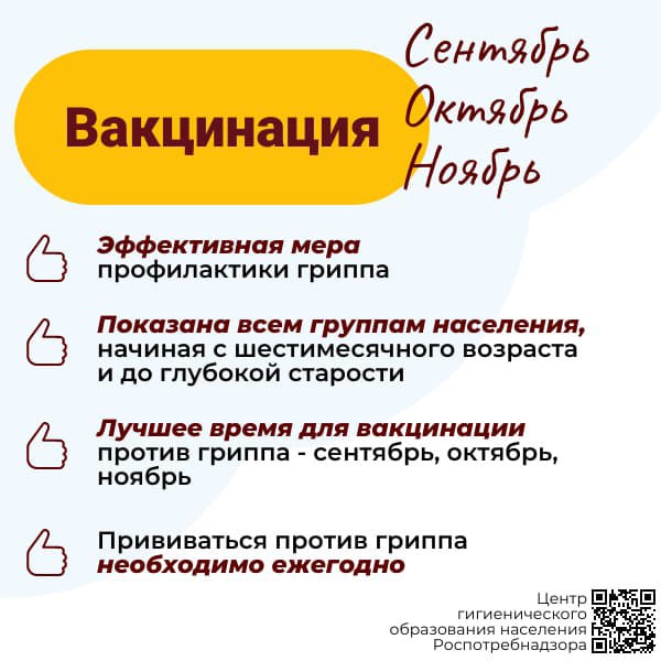 Изображение WhatsApp 2023-08-29 в 16.38.20.jpg