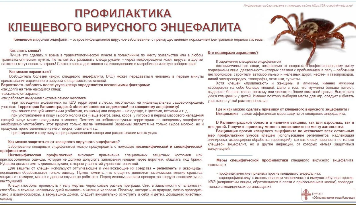 Профилактика клещевого вирусного энцефалита